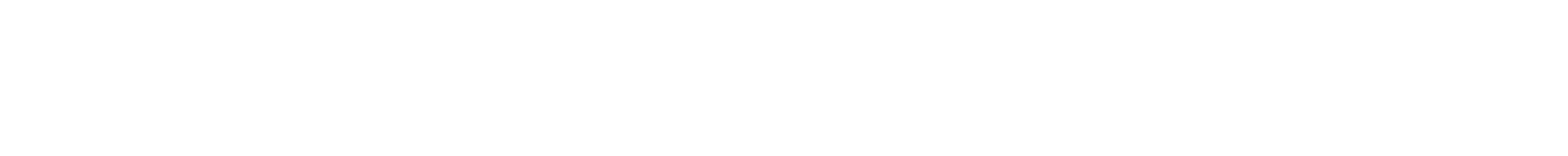 Nicole Broch Larsen Logo